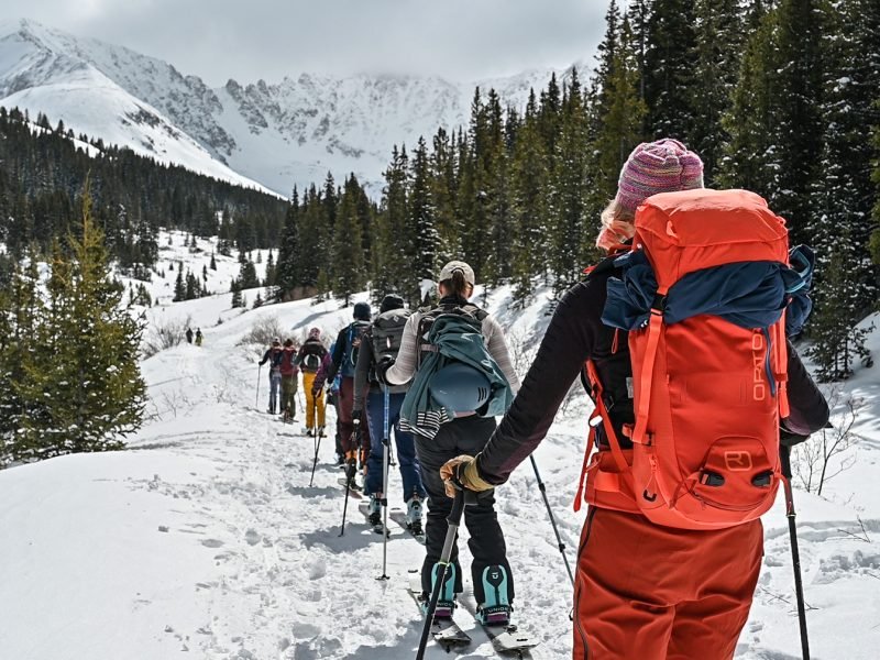 A group of backcountry skiers trekking through a snowy mountain trail, surrounded by evergreen trees and jagged peaks under a cloudy sky.